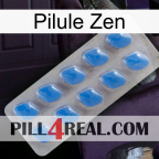 Zen Pill 22